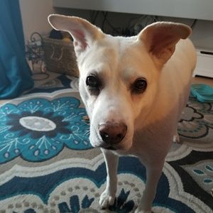 Meet your Posher, Sherri